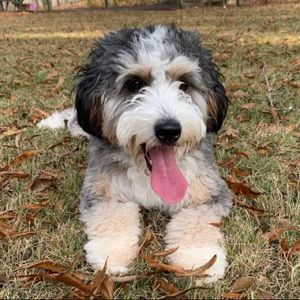 Meet your Posher, Paula